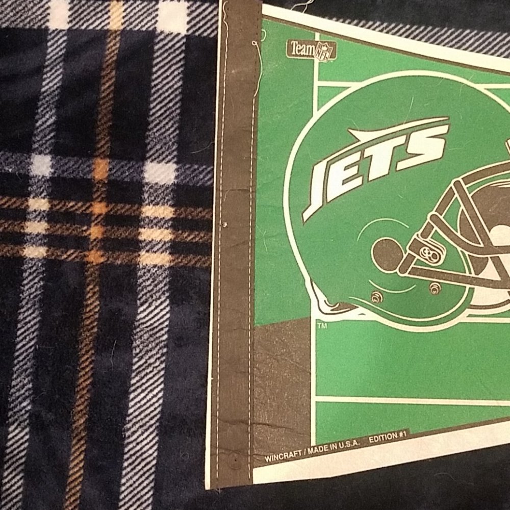 Pennant - Picture 2 of 3